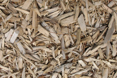 biomass boilers Carnach